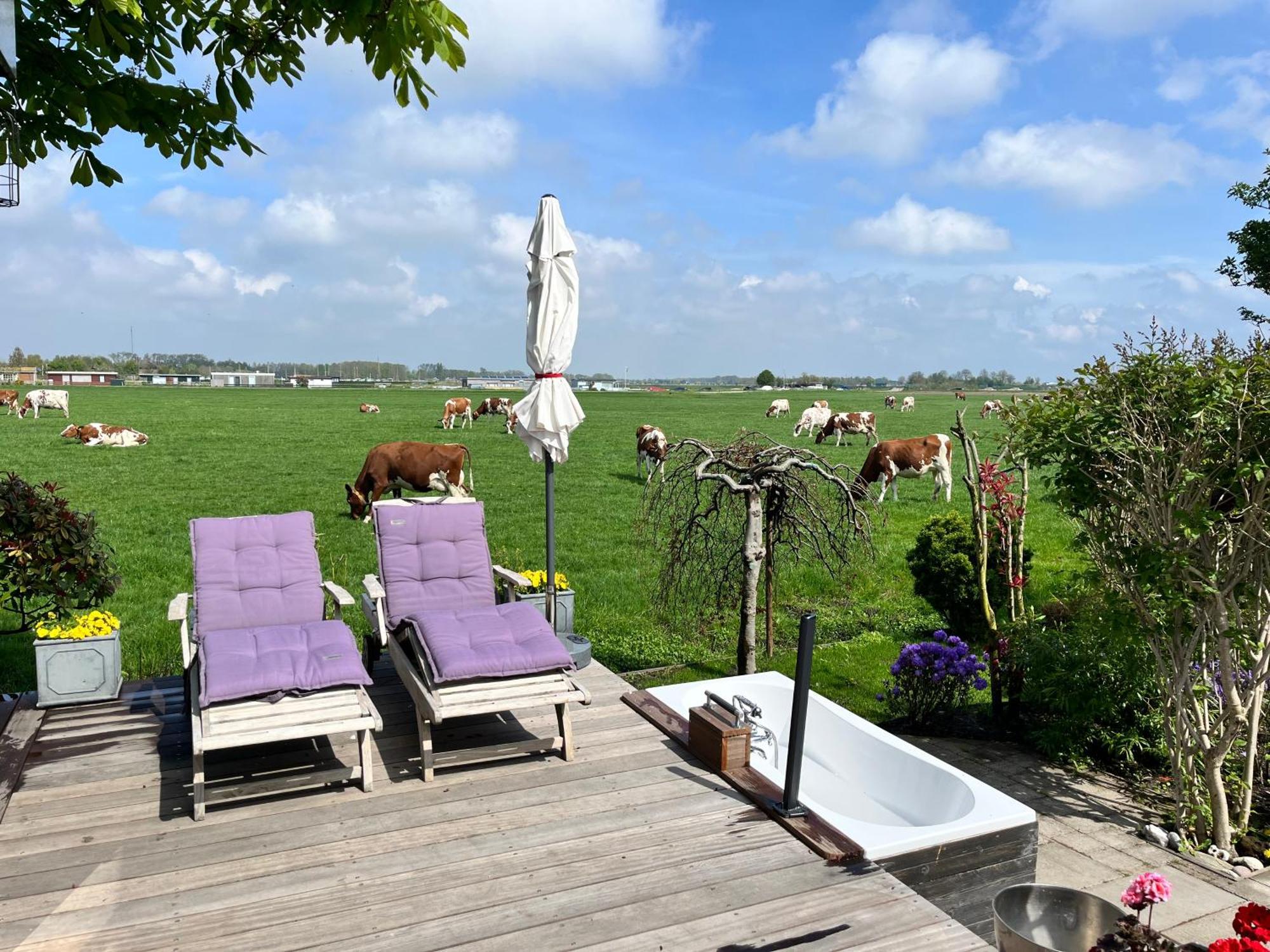 Field View * Warmond